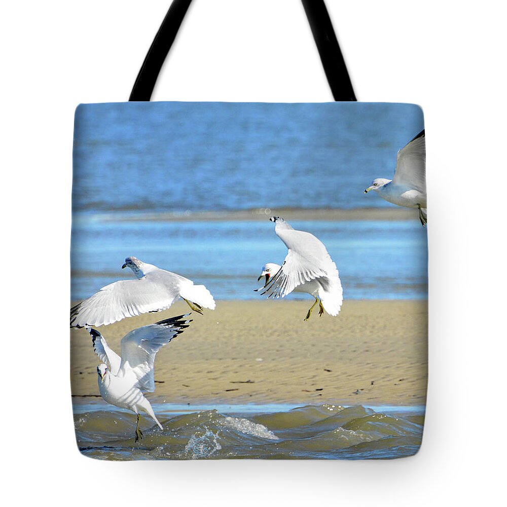 Seagull. Low Tide Tote Bag featuring the photograph Gull Frenzy by Jerry Griffin