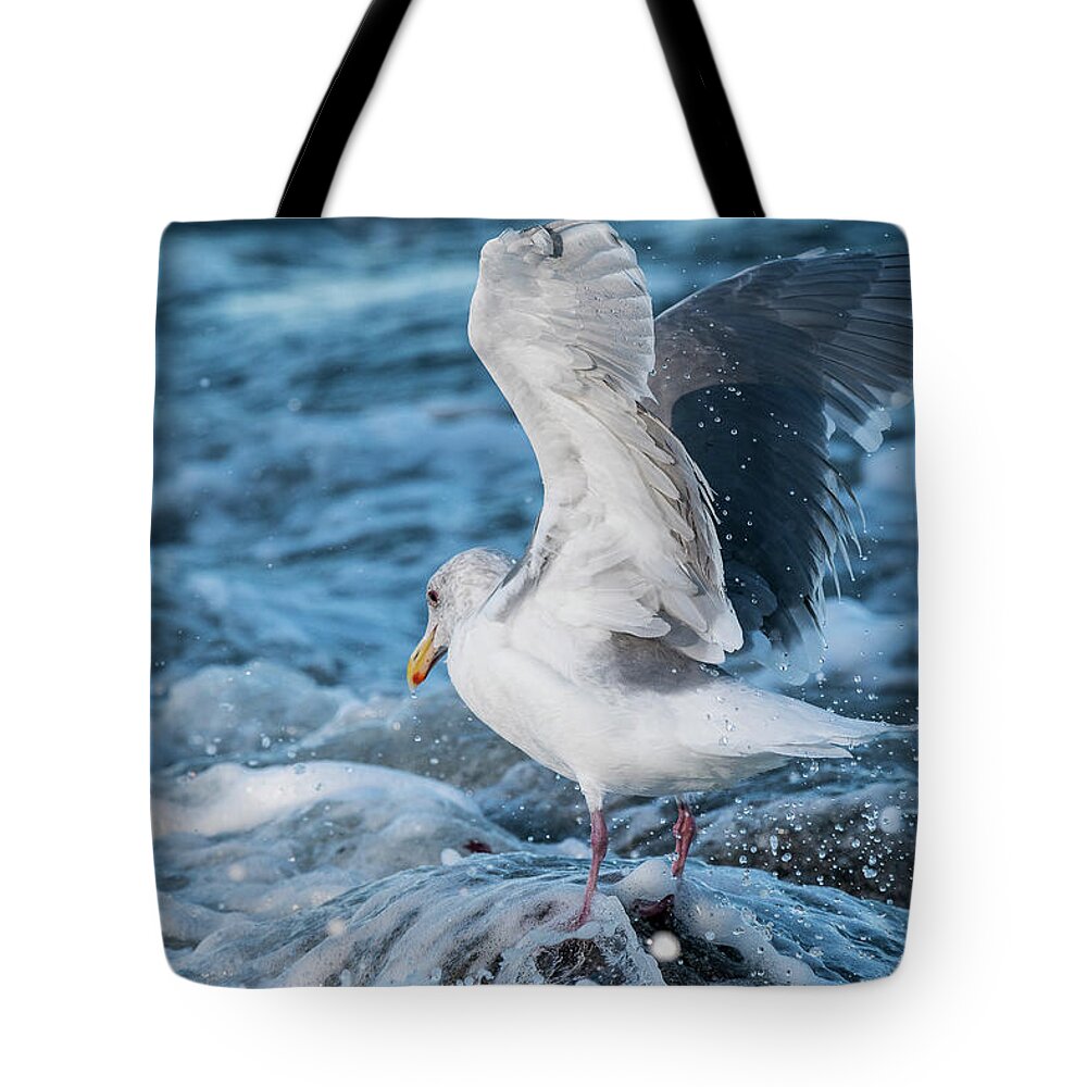 Afternoon Tote Bag featuring the photograph Gull in the Surf by Robert Potts