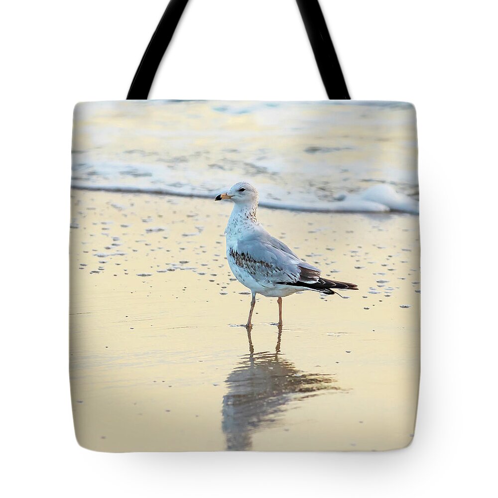Surf Tote Bag featuring the photograph Gull's Reflection by Donna Twiford