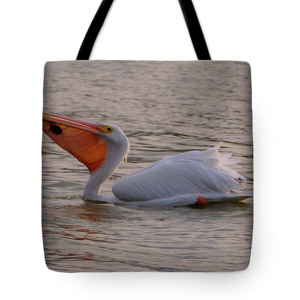 Shell Beach Tote Bag featuring the photograph Gulp by Mike Long