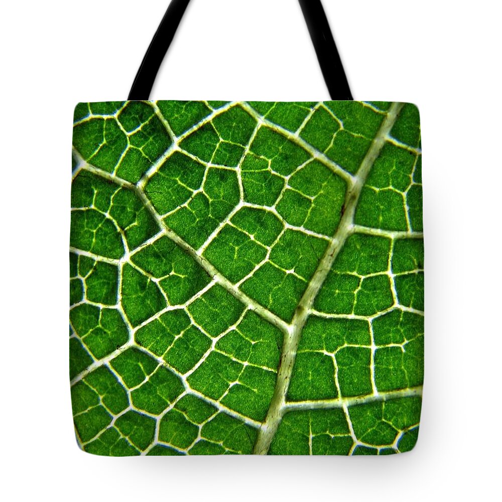Natural Pattern Tote Bag featuring the photograph Gunnera Manicata Leaf by Heather Mccallum