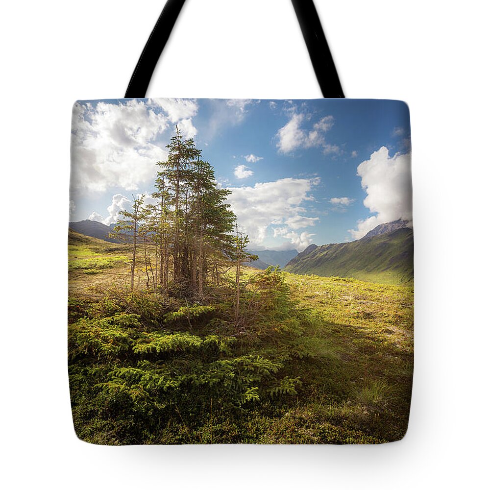 Alaska Tote Bag featuring the photograph Haiku Forest by Tim Newton