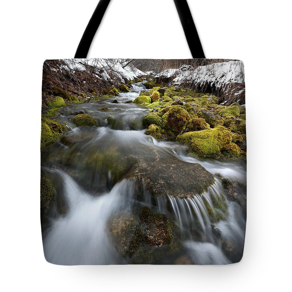 Creek Tote Bag featuring the photograph Hallow Hollow by David Andersen