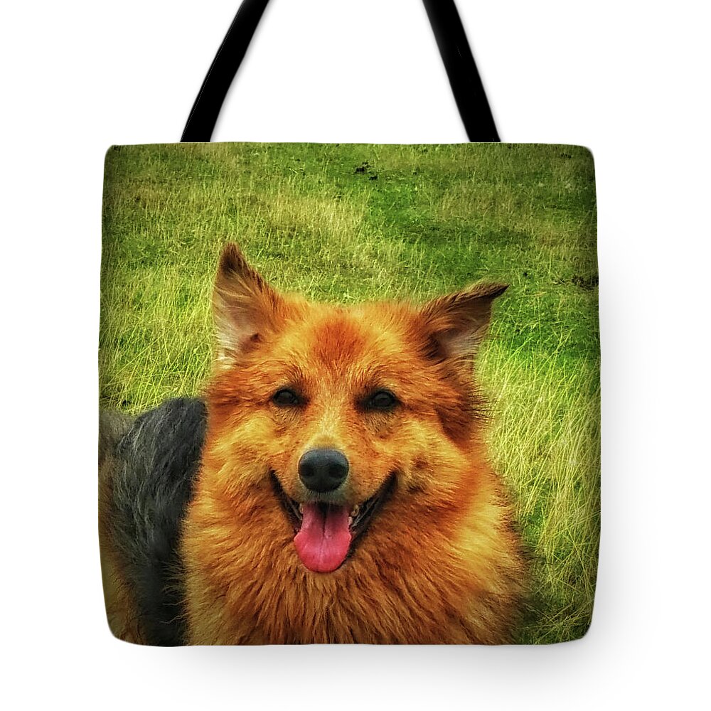 Dog Tote Bag featuring the photograph Hannah Baby by Tikvah's Hope