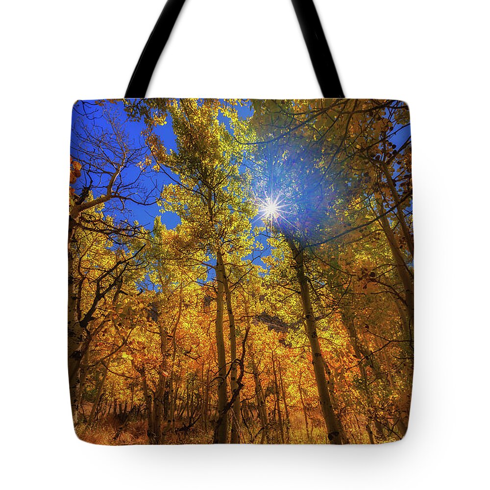 Fall Colors Tote Bag featuring the photograph Happy Fall by Tassanee Angiolillo