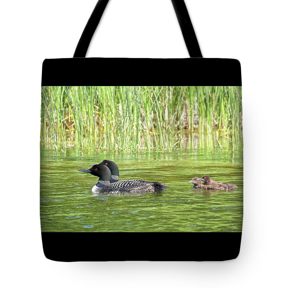 Loons Tote Bag featuring the photograph Happy Family by Penny Meyers