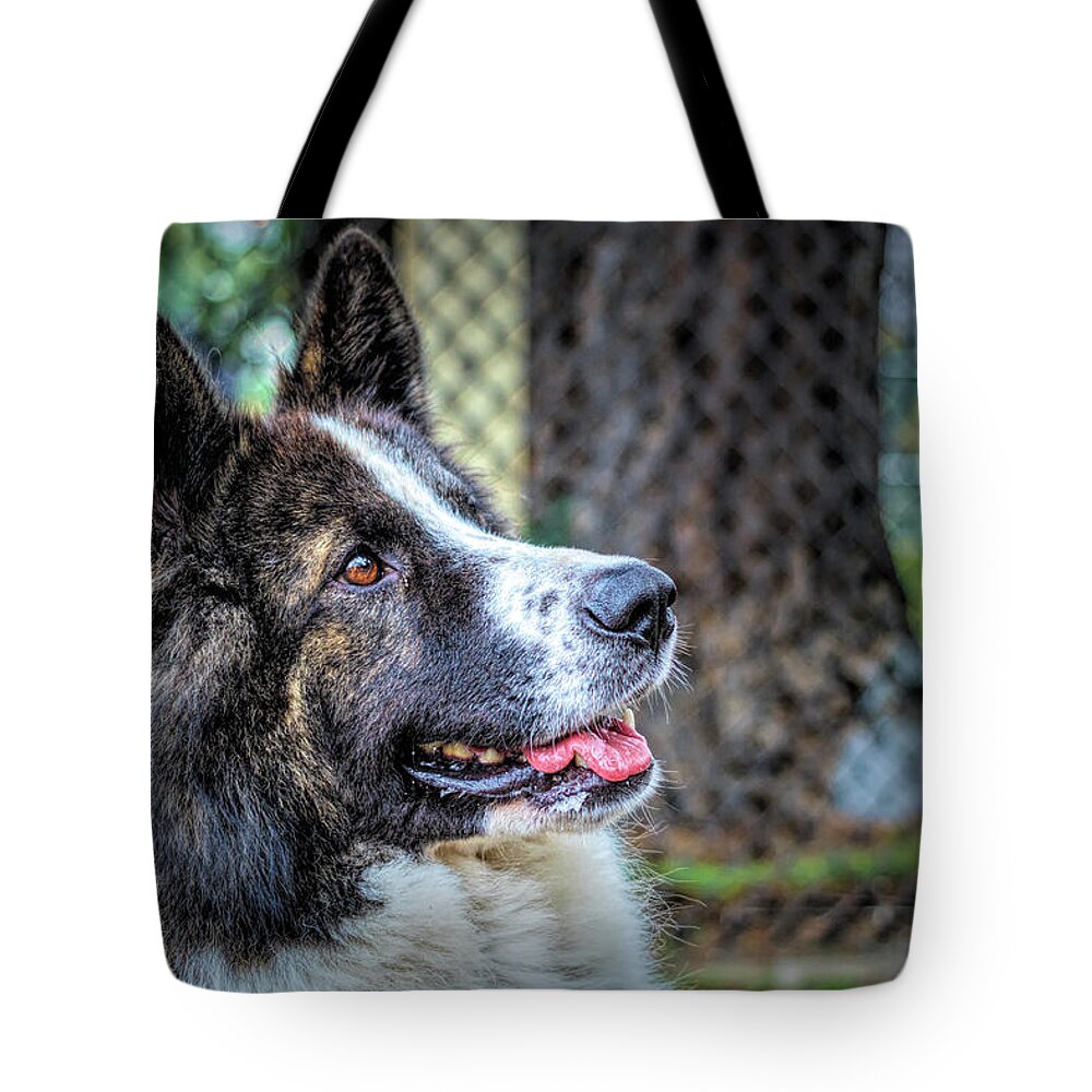 Art Tote Bag featuring the digital art Happy Smiling Dog by Rick Deacon