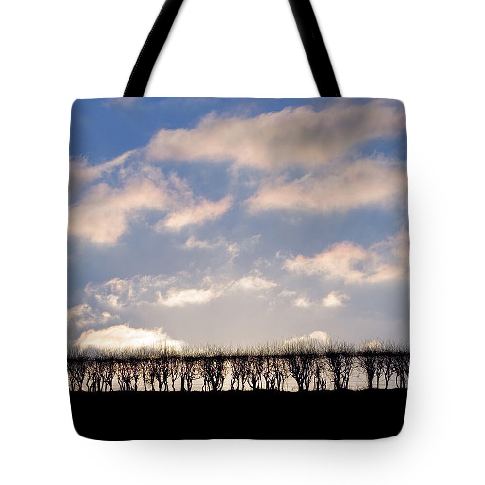 England Tote Bag featuring the photograph Hawthorne Hedge, England, Uk by Tim Graham