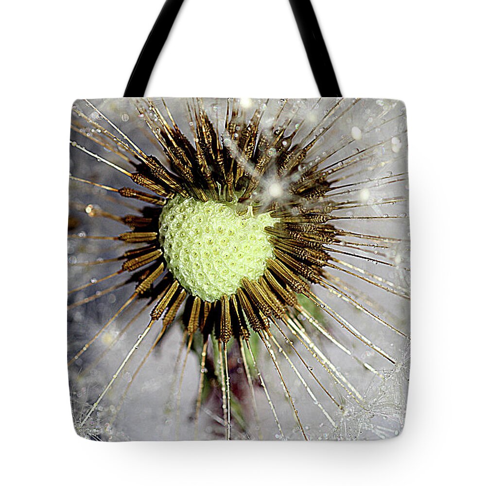 Heart Shape Tote Bag featuring the photograph Heart of the dandelion by Martin Smith