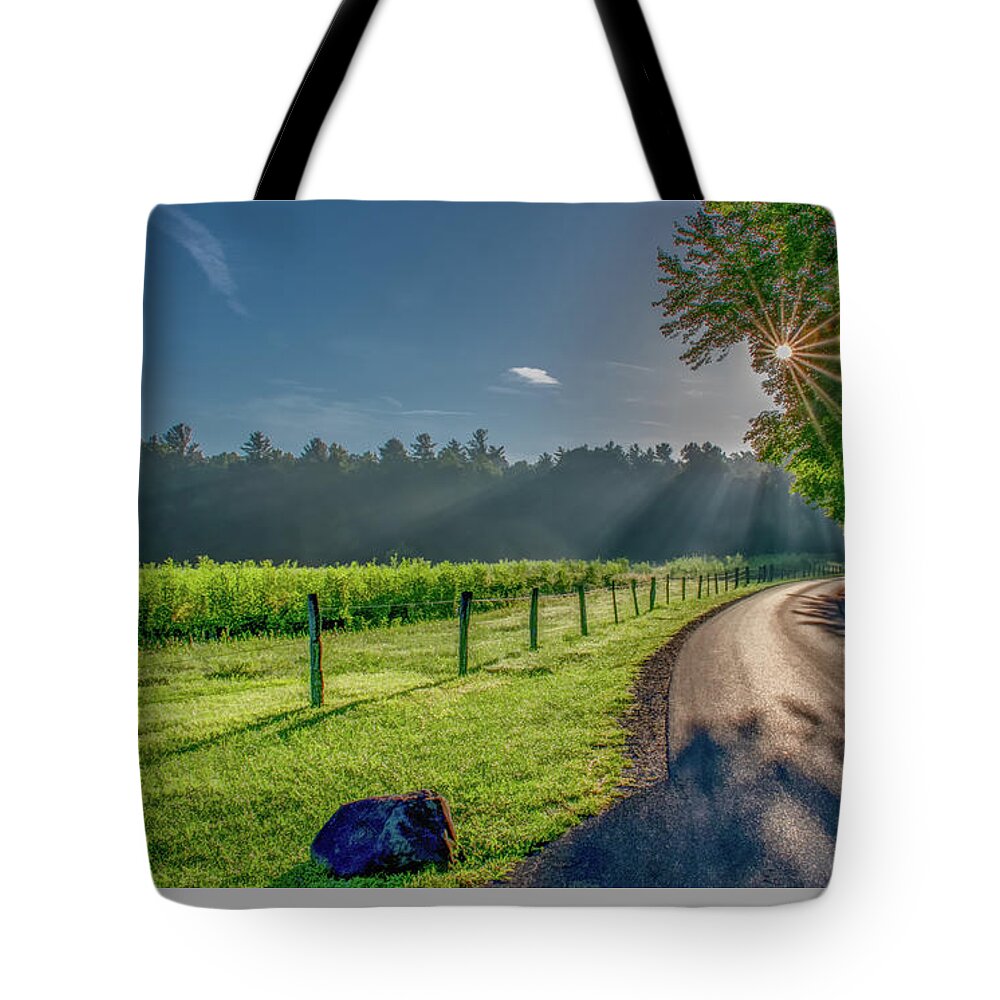 Cades Cove Tote Bag featuring the photograph Heavenly Sunlight on A Summer Day by Marcy Wielfaert