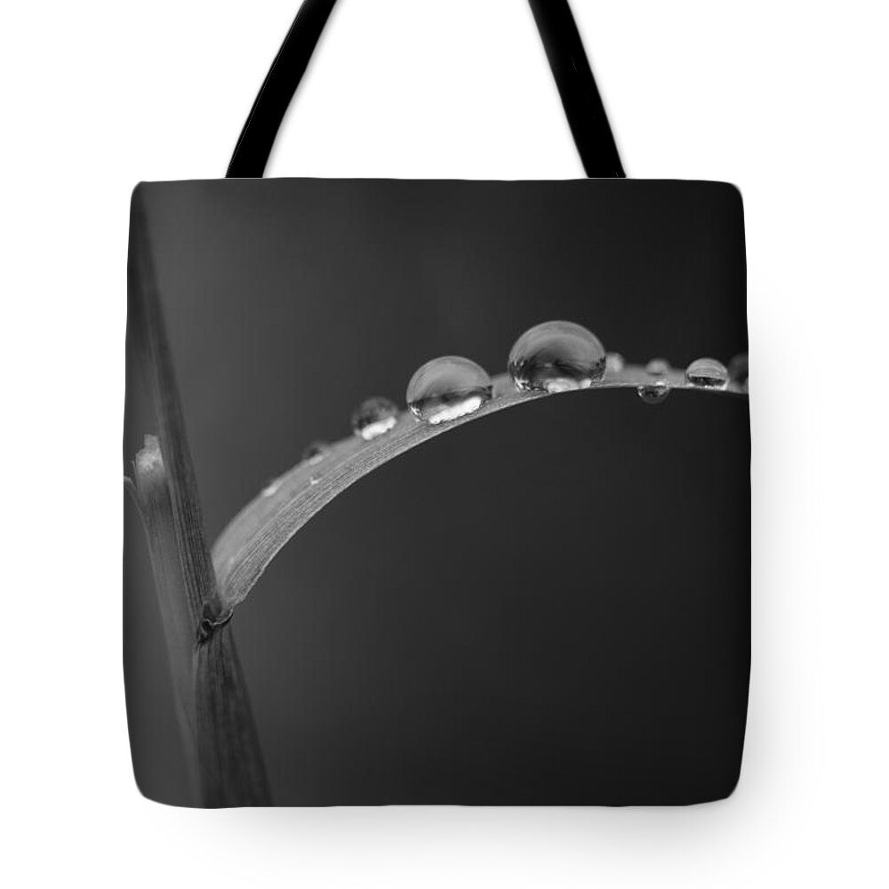 Monochrome Tote Bag featuring the photograph Held by Jessica Myscofski