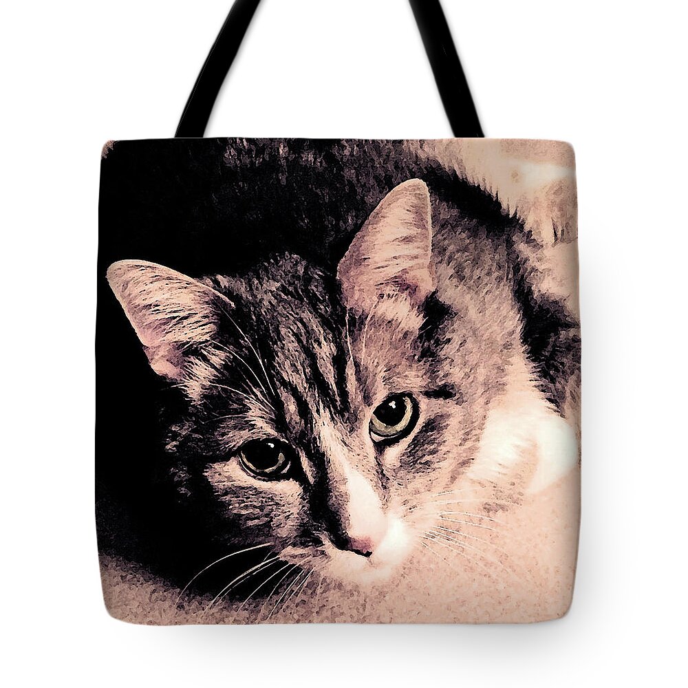 Cat Tote Bag featuring the photograph Hello by Geoff Jewett