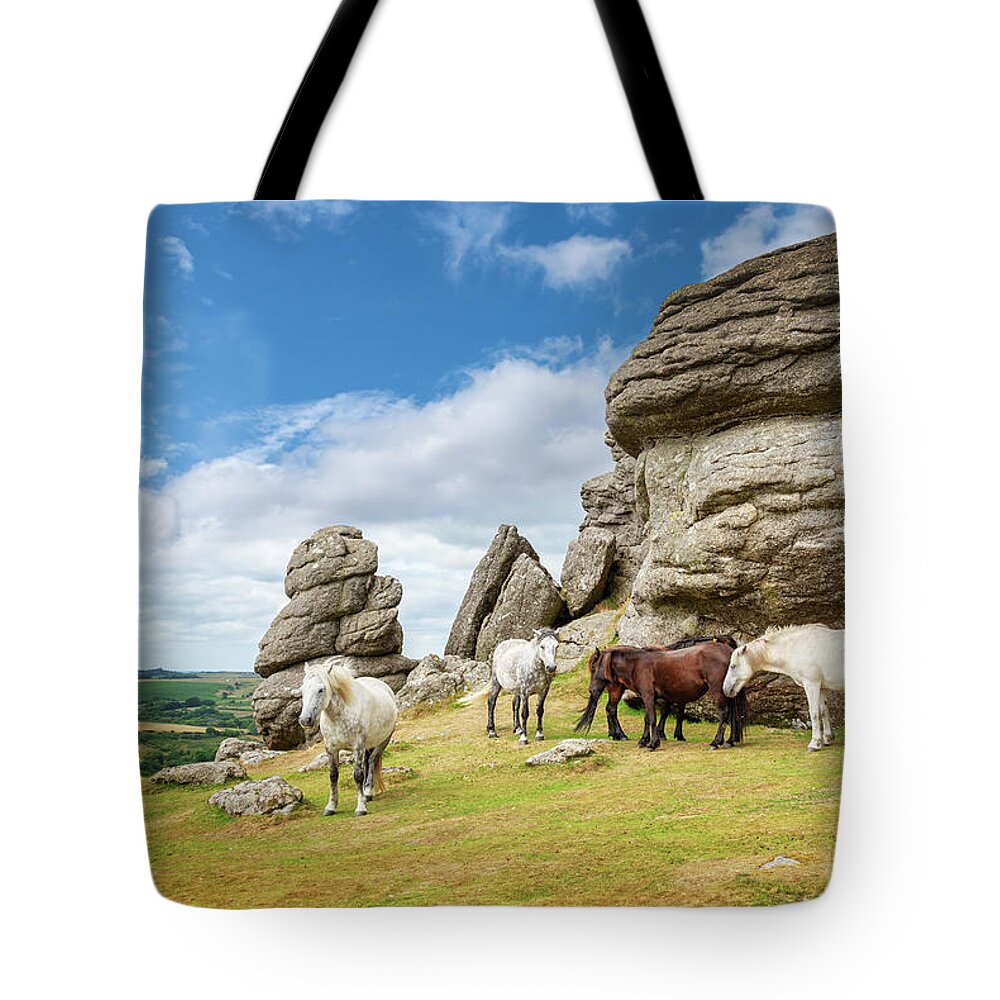 Dartmoor Tote Bags