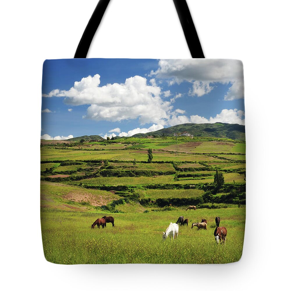 Horse Tote Bag featuring the photograph Herding In Peru by Mac99