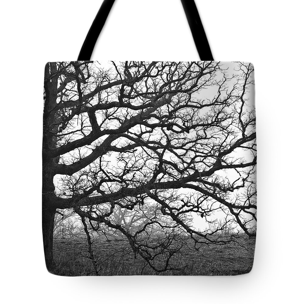 Grayscale Tote Bag featuring the photograph Herman Munster's Back Yard by Billy Knight