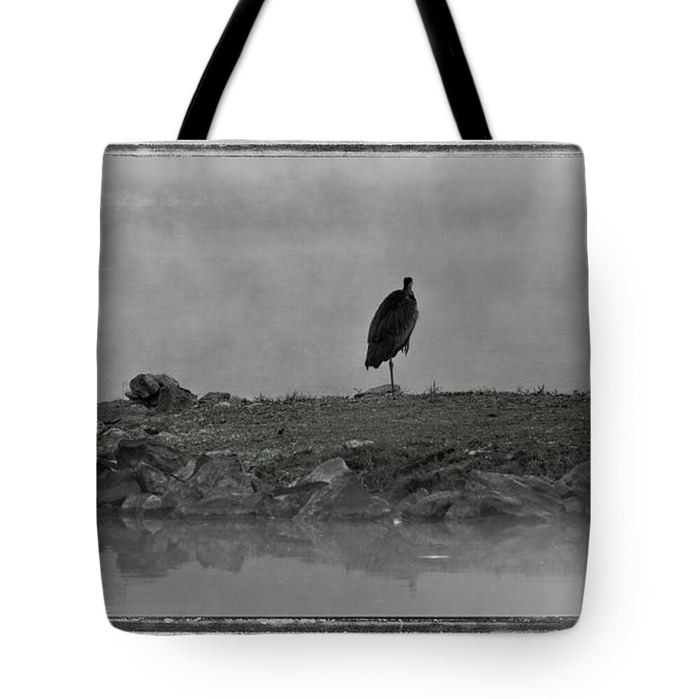 Wildlife Tote Bag featuring the photograph Heron In The Mist by John Benedict