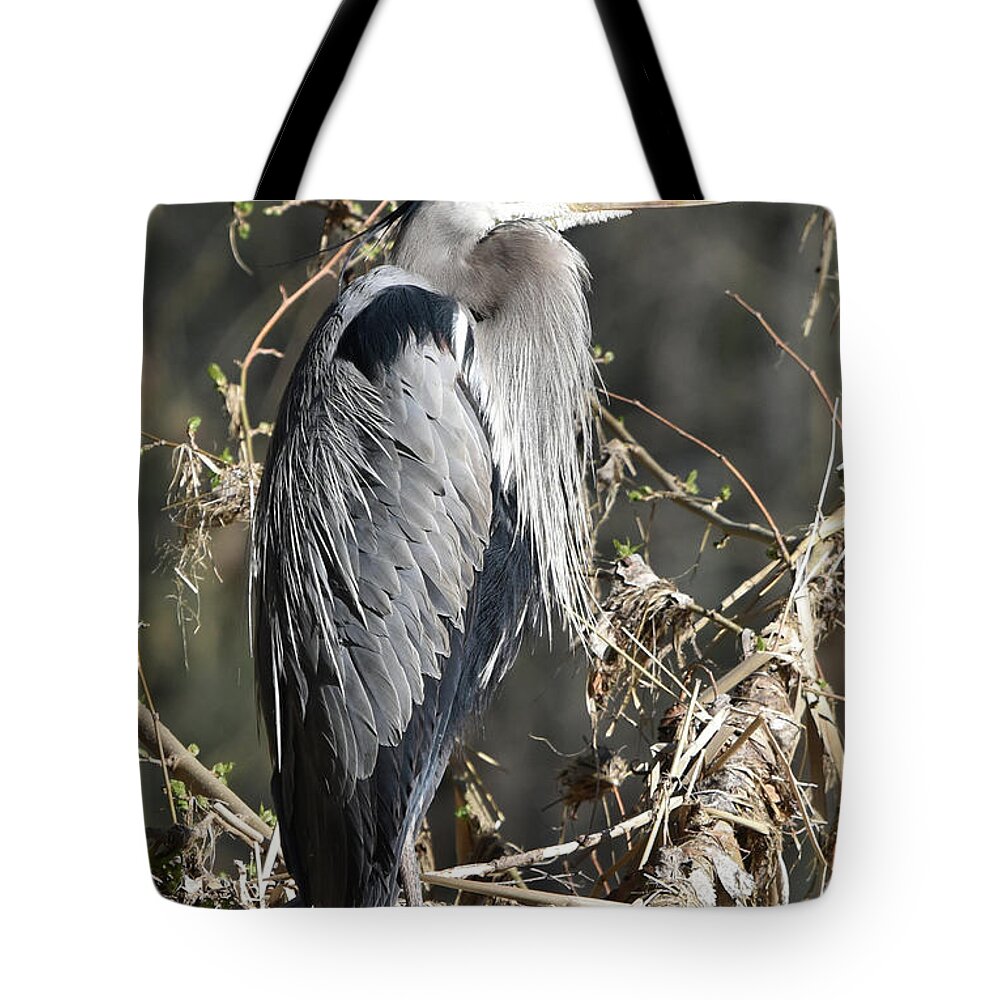 Bird Tote Bag featuring the photograph Heron on the Verde by Ben Foster