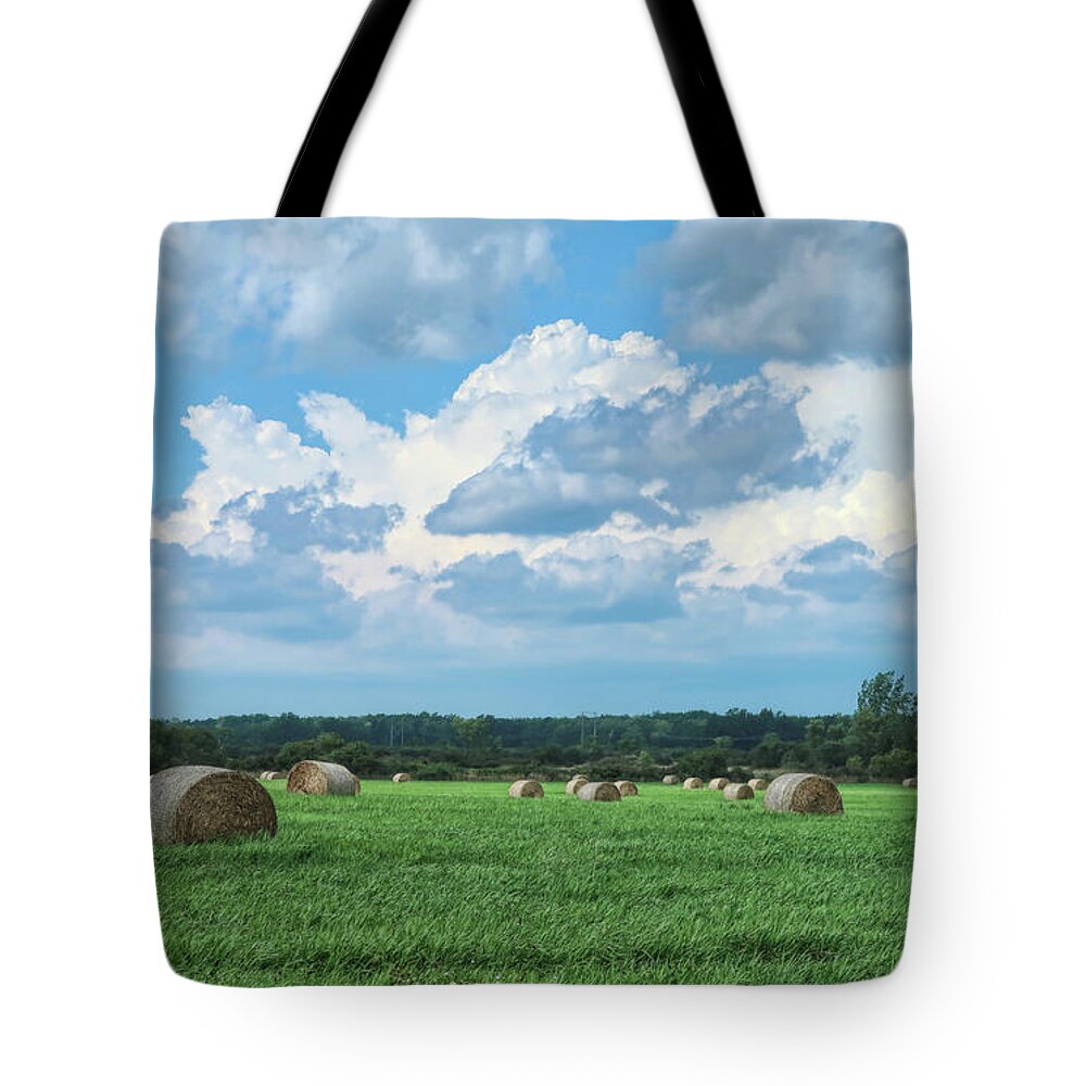 Hay Tote Bag featuring the photograph Hey, hay by Tammy Espino