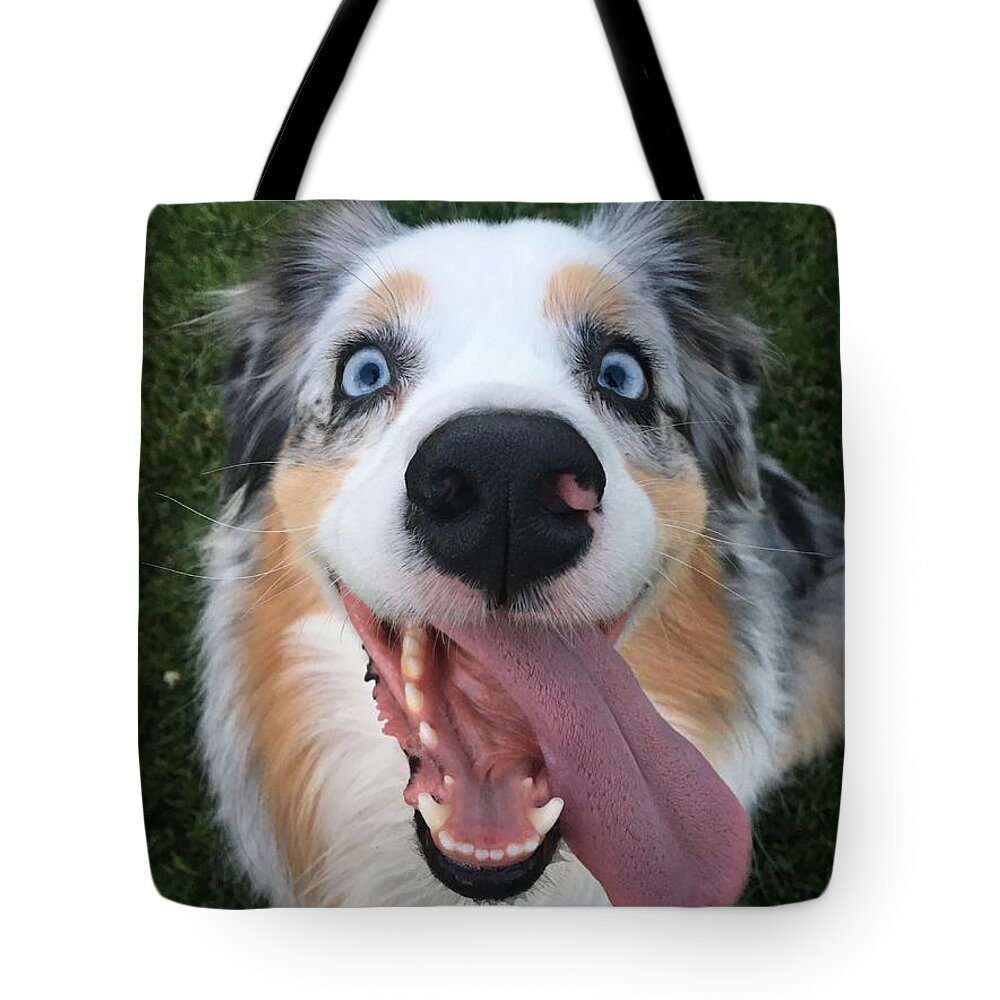 Aussie Tote Bag featuring the photograph Hello Friend by Kevin Desrosiers