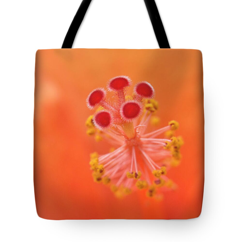 Hibiscus Beauty Tote Bag featuring the digital art Hibiscus beauty 222 by Kevin Chippindall