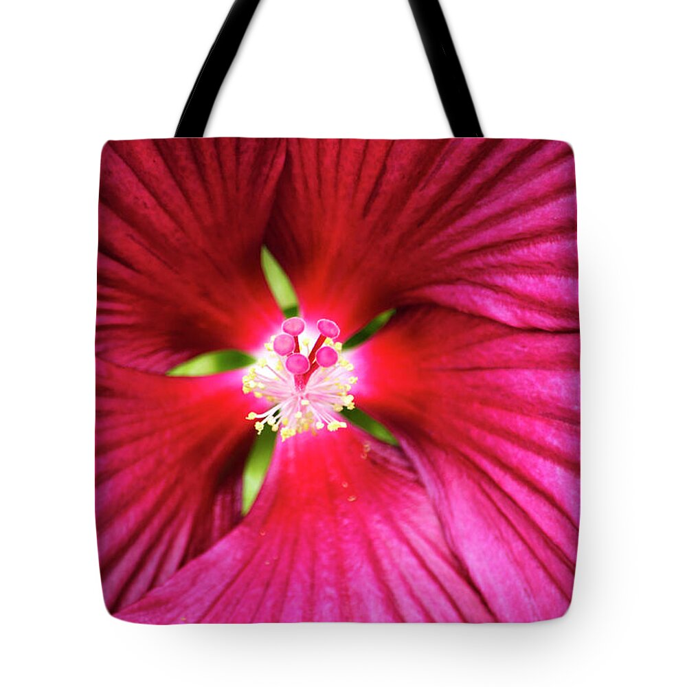 Hibiscus Tote Bag featuring the photograph Hibiscus by Christina Rollo