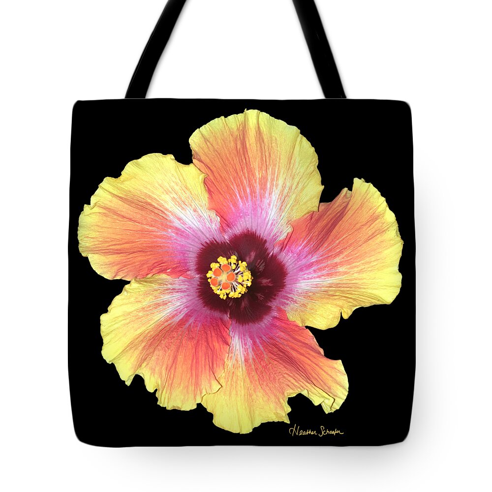 Hibiscus Tote Bag featuring the photograph Hibiscus by Heather Schaefer