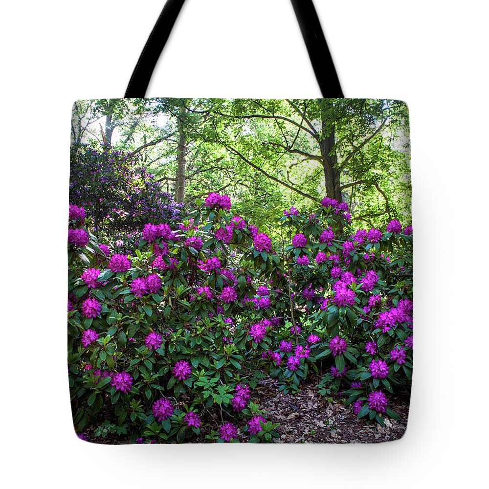 Jenny Rainbow Fine Art Photography Tote Bag featuring the photograph Hidden In Shadow. Fairy Rhododendron Woods 1 by Jenny Rainbow