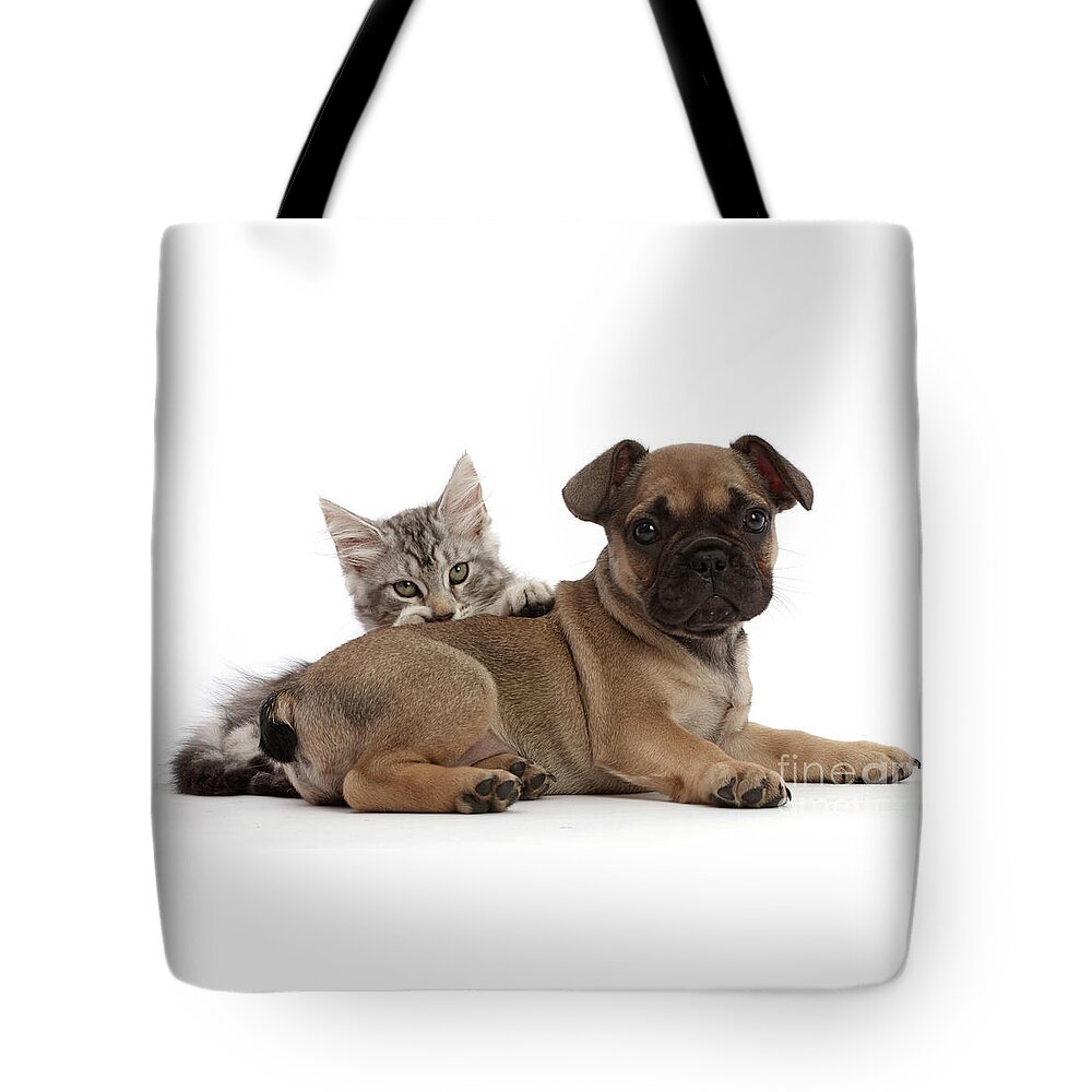 French Bulldog Tote Bag featuring the photograph Hiding behind my Friend by Warren Photographic
