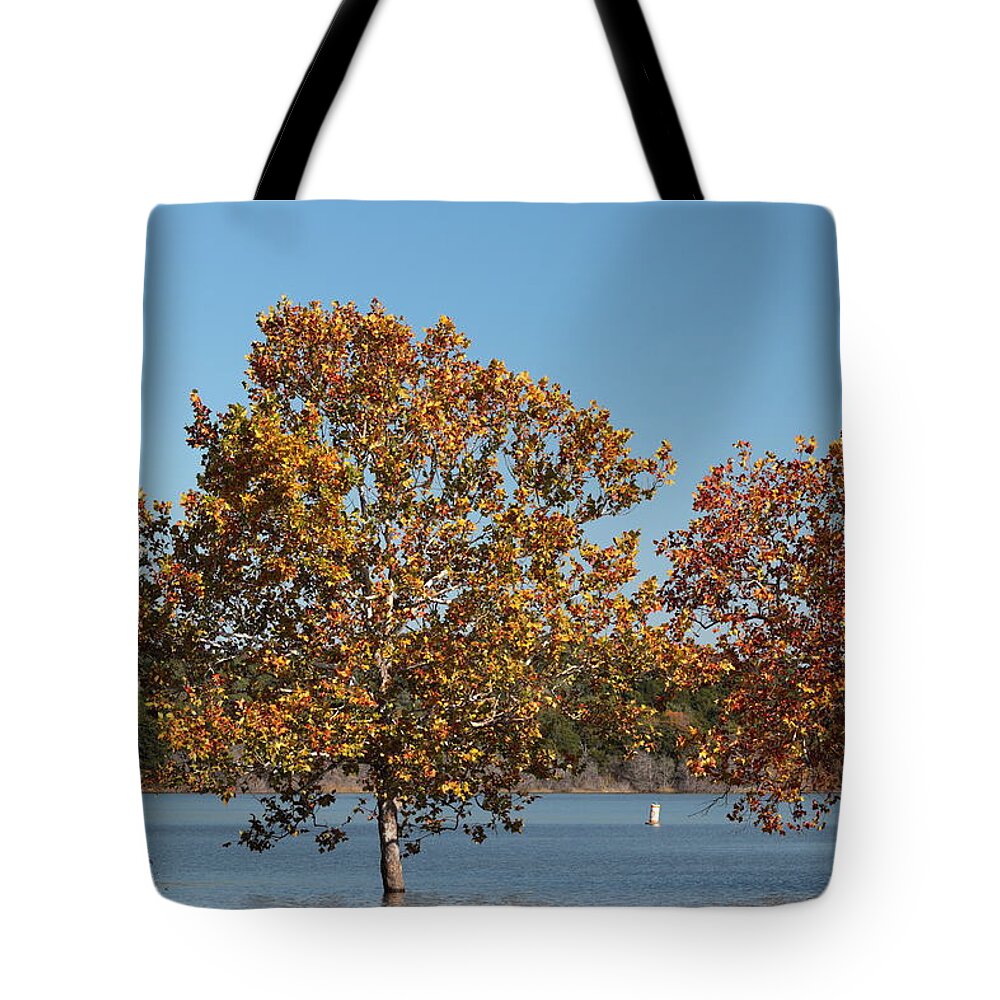 Lake Tote Bag featuring the photograph High Water 3420 by John Moyer