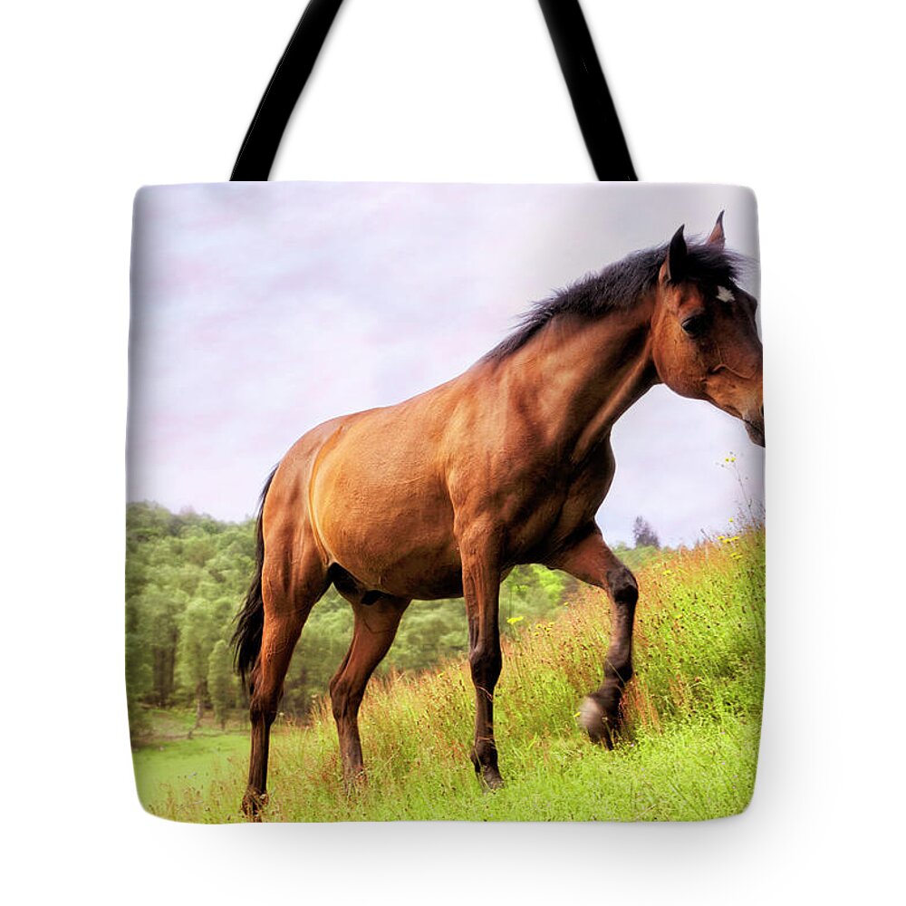 Horse Tote Bag featuring the photograph Highland Steed - horse - pony by Jason Politte