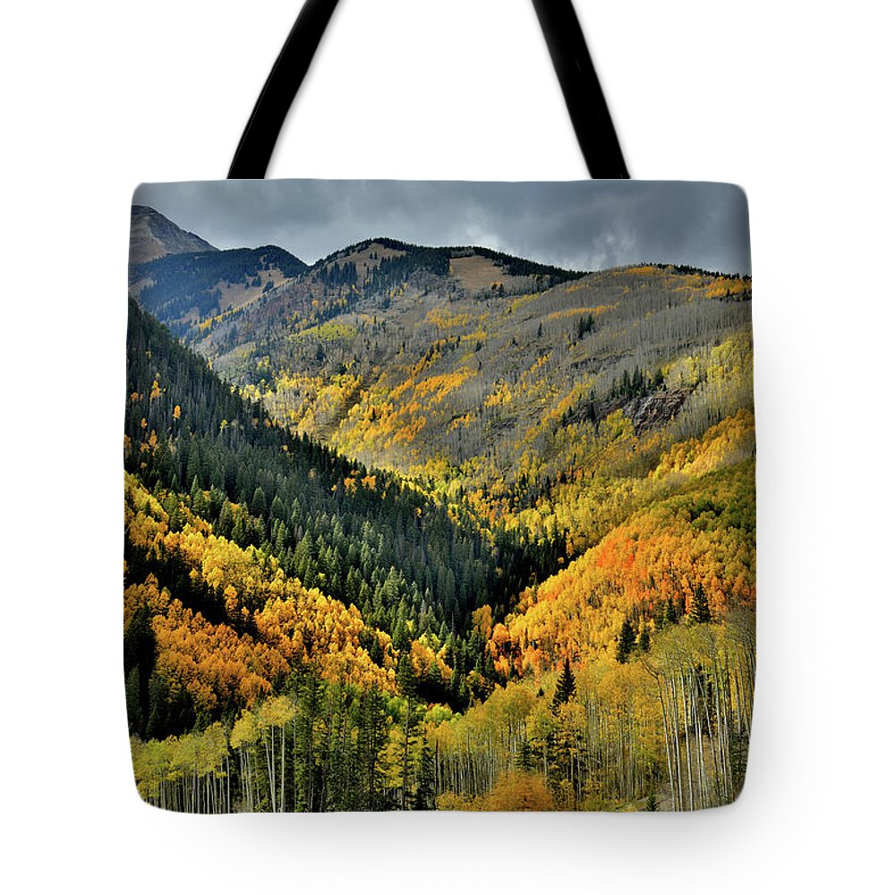 Highway 145 Tote Bag featuring the photograph Highway 145 Fall Colors in the Spotlight by Ray Mathis