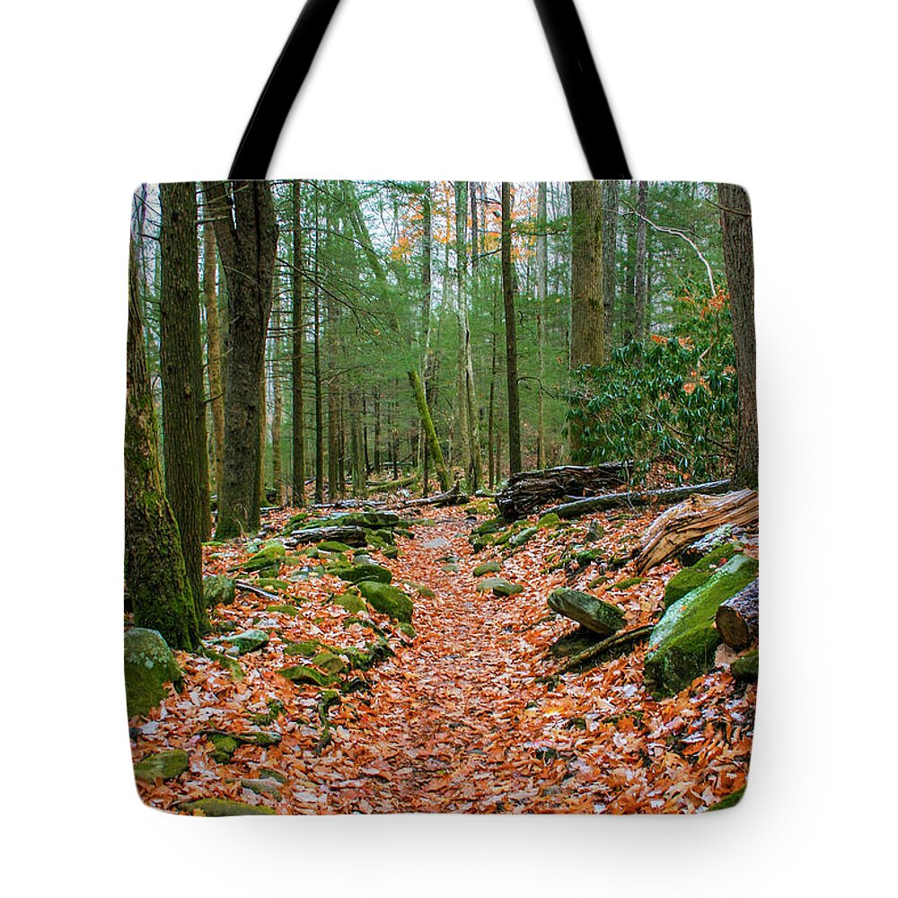 Photo For Sale Tote Bag featuring the photograph Hiking Trail in Autumn by Robert Wilder Jr