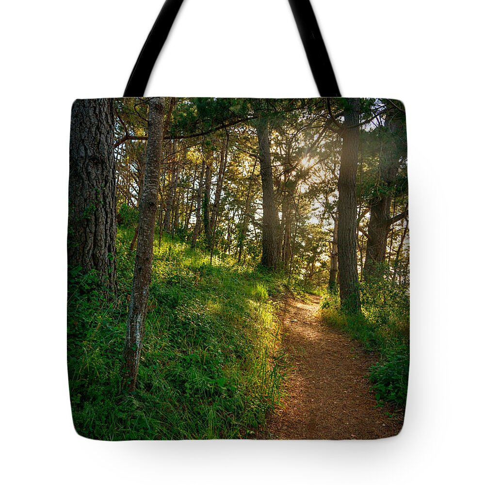 Hillside Path Tote Bag featuring the photograph Hillside Path by Derek Dean