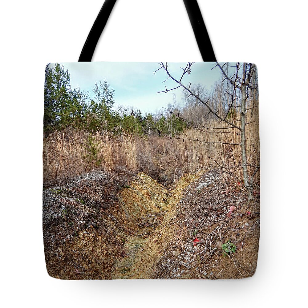 Hill Tote Bag featuring the photograph Hillside Ravine by Phil Perkins
