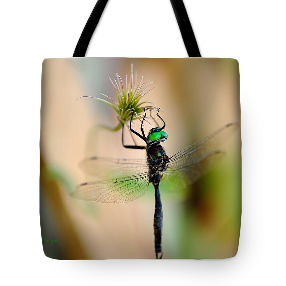Dragonfly Tote Bag featuring the photograph Hines Emerald Dragonfly by Kae Cheatham