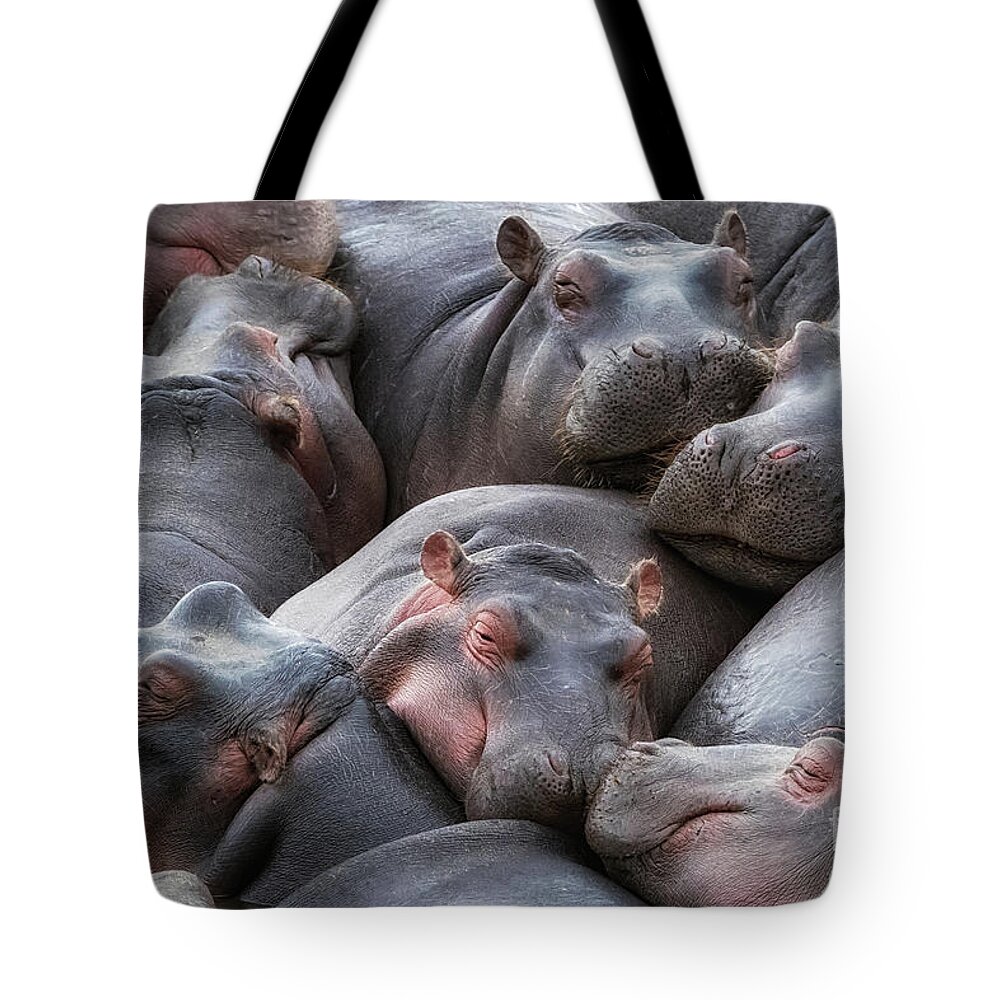 Mara Tote Bag featuring the photograph Hippo pod resting in the Mara River by Jane Rix