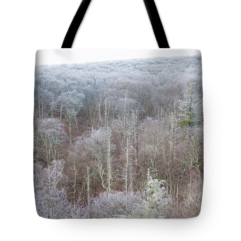 Blue Ridge Tote Bag featuring the photograph Hoarfrost in the Tree Tops by Mark Duehmig