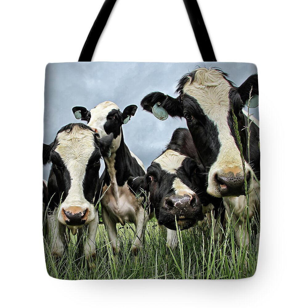Grass Tote Bag featuring the photograph Holstein Cows by C. M. Yost