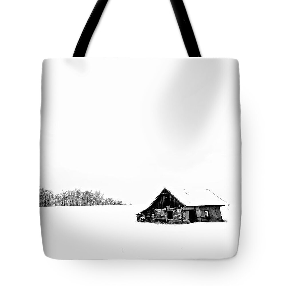 Homestead January White Out Moment Tote Bag featuring the photograph Homestead Mid January by Brian Sereda