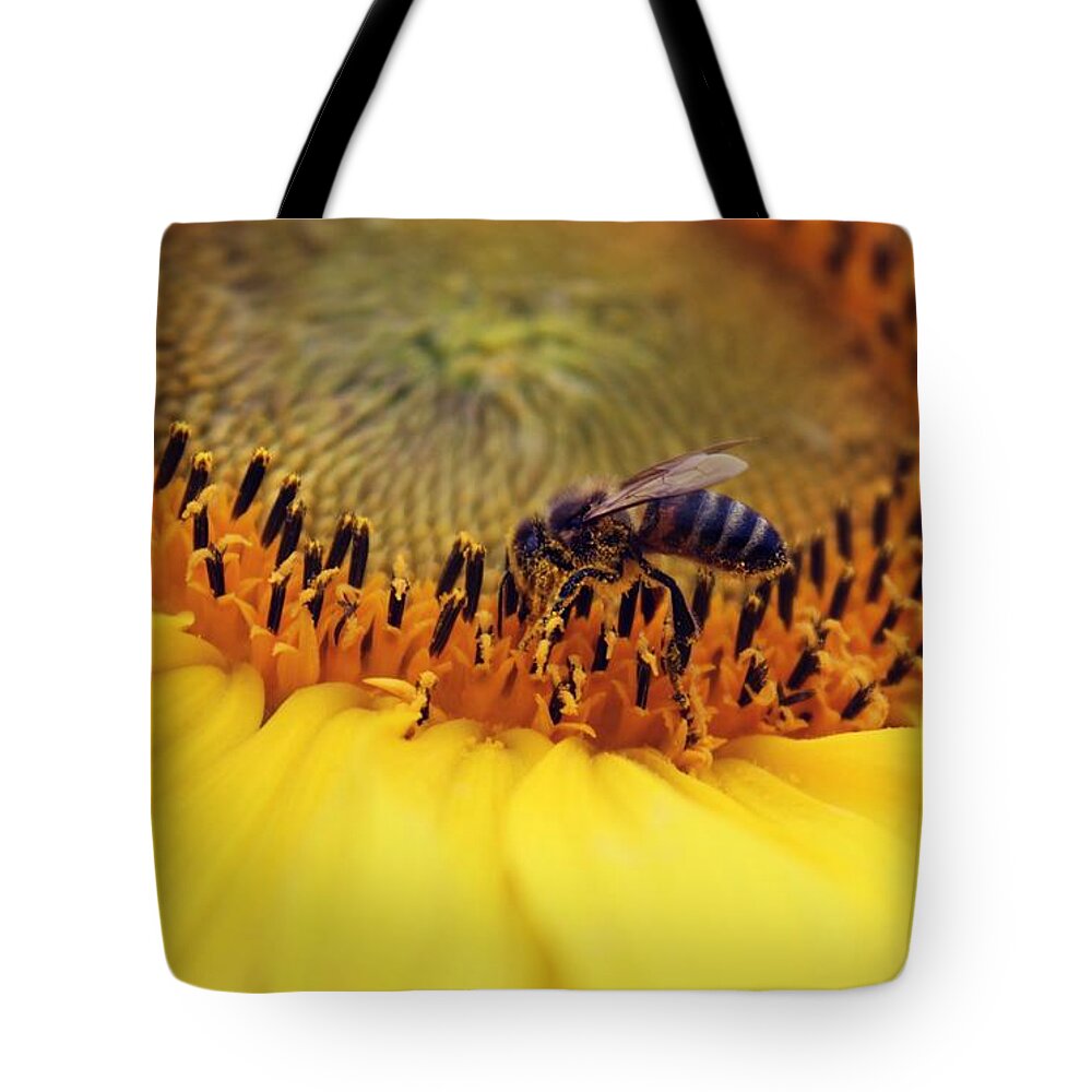 Sunflower Tote Bag featuring the photograph Honey by Candice Trimble