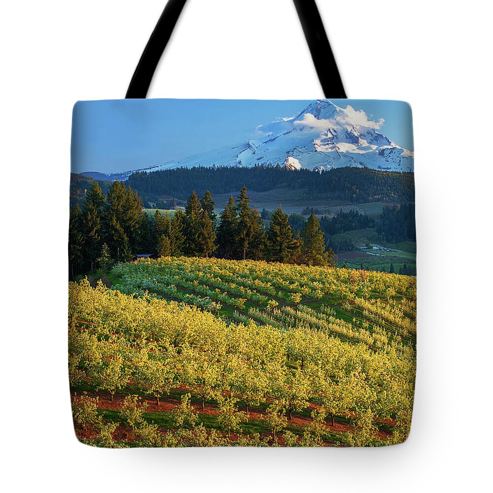 Oregon Tote Bag featuring the photograph Hood River Orchards by Patrick Campbell