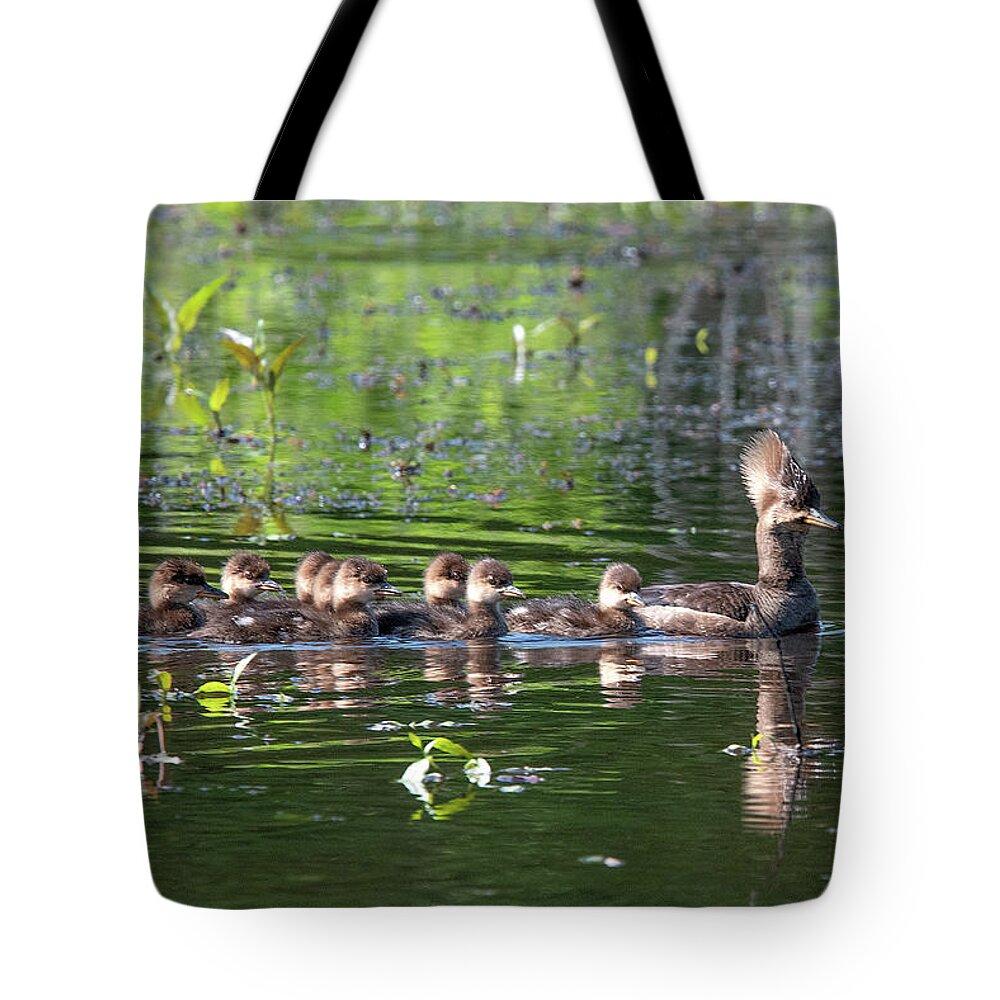 Nature Tote Bag featuring the photograph Hooded Merganser and Her Ducklings DWF0202 by Gerry Gantt