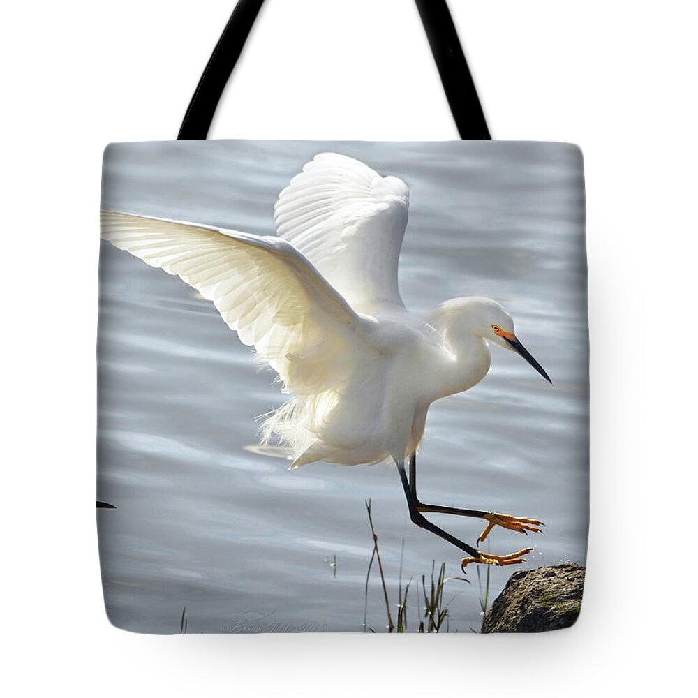 Wildlife Tote Bag featuring the photograph Hop, Skip and a Jump by Brian Tada