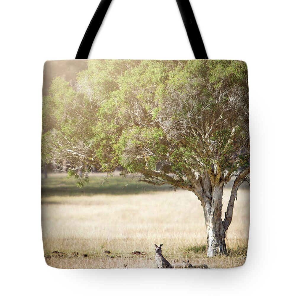 Kremsdorf Tote Bag featuring the photograph Hop With Me by Evelina Kremsdorf