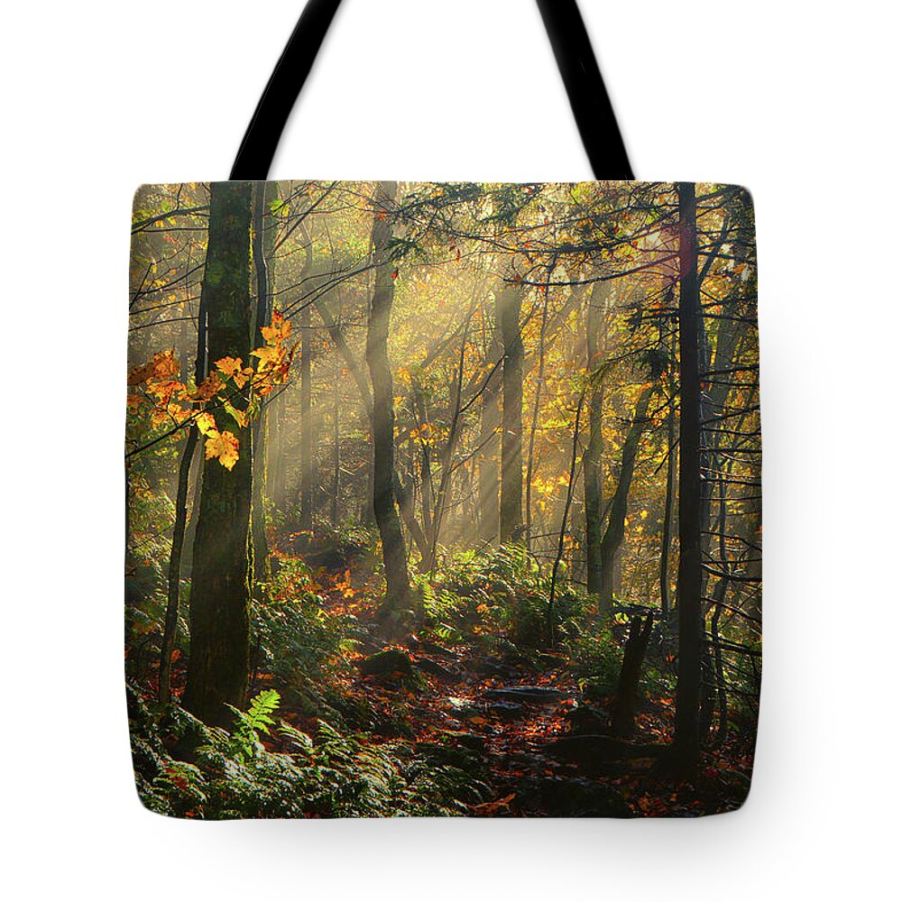  Rays Of Sun After A Storm Tote Bag featuring the photograph Horizontal Rays of Sun After a Storm by Raymond Salani III