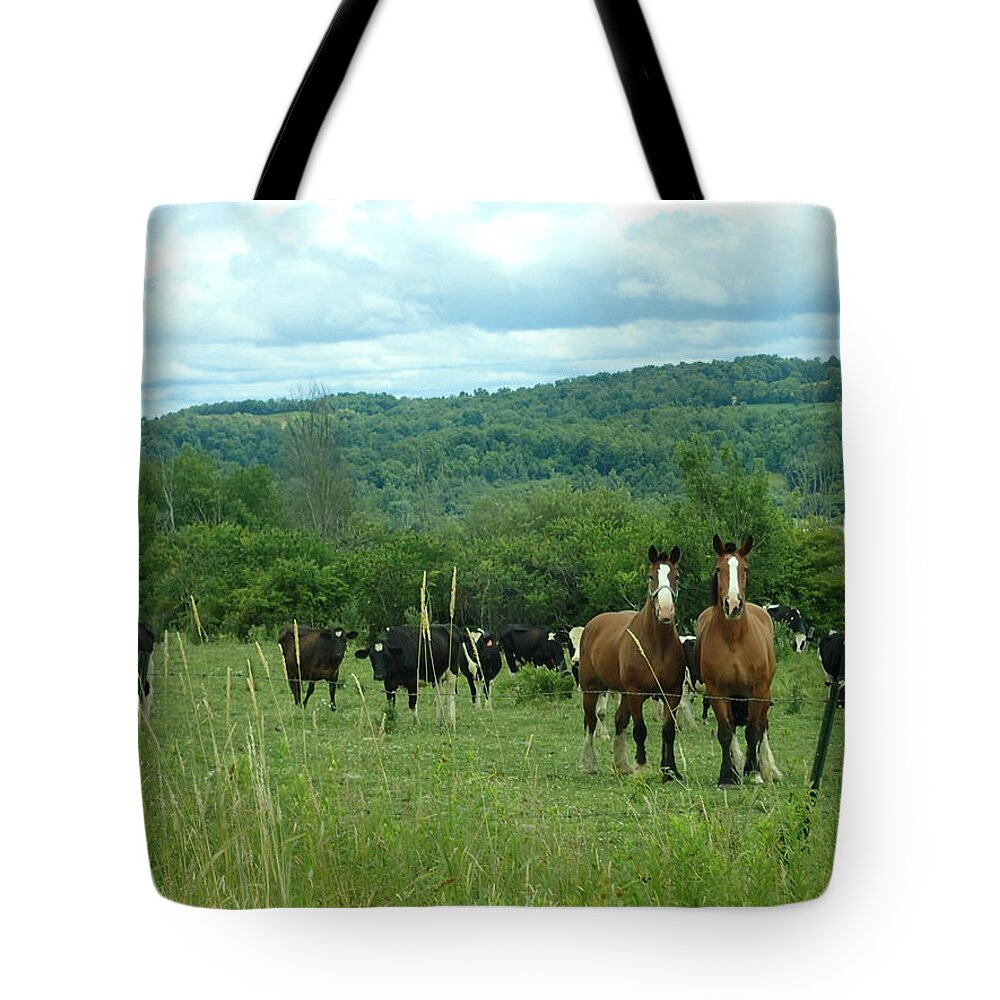 Horse Tote Bag featuring the photograph Horse and cow by Susan Jensen