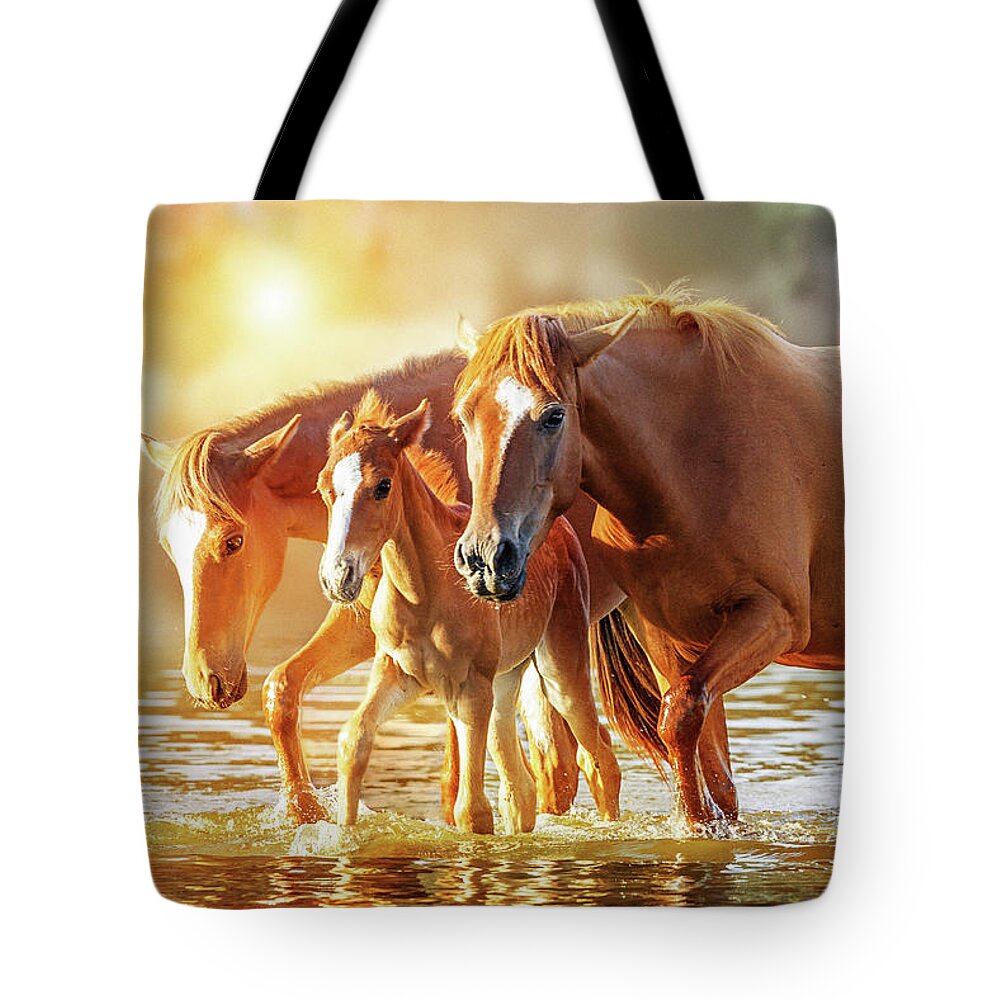 Equine Tote Bag featuring the photograph Horse Family Walking in Lake at Sunrise by Good Focused