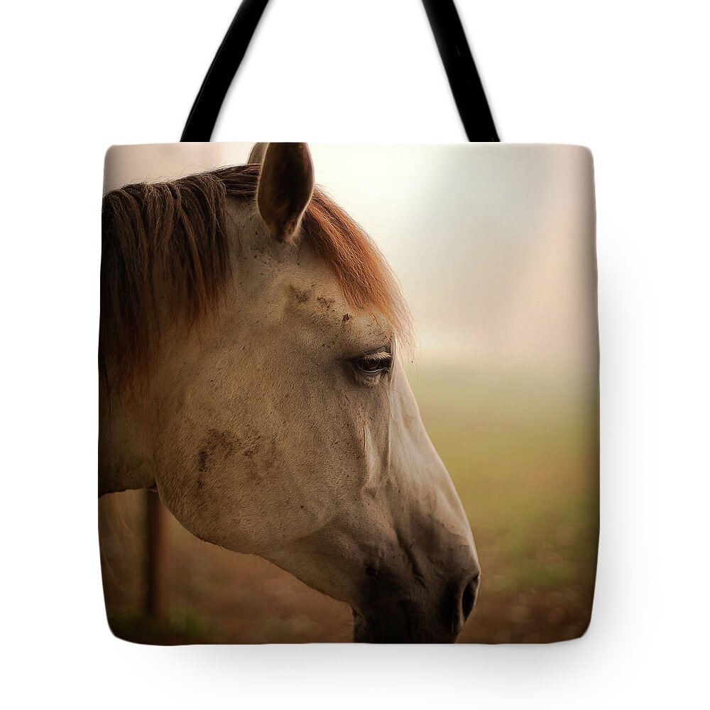 Horse Tote Bag featuring the photograph Horse Head Profile by Tru View Photography