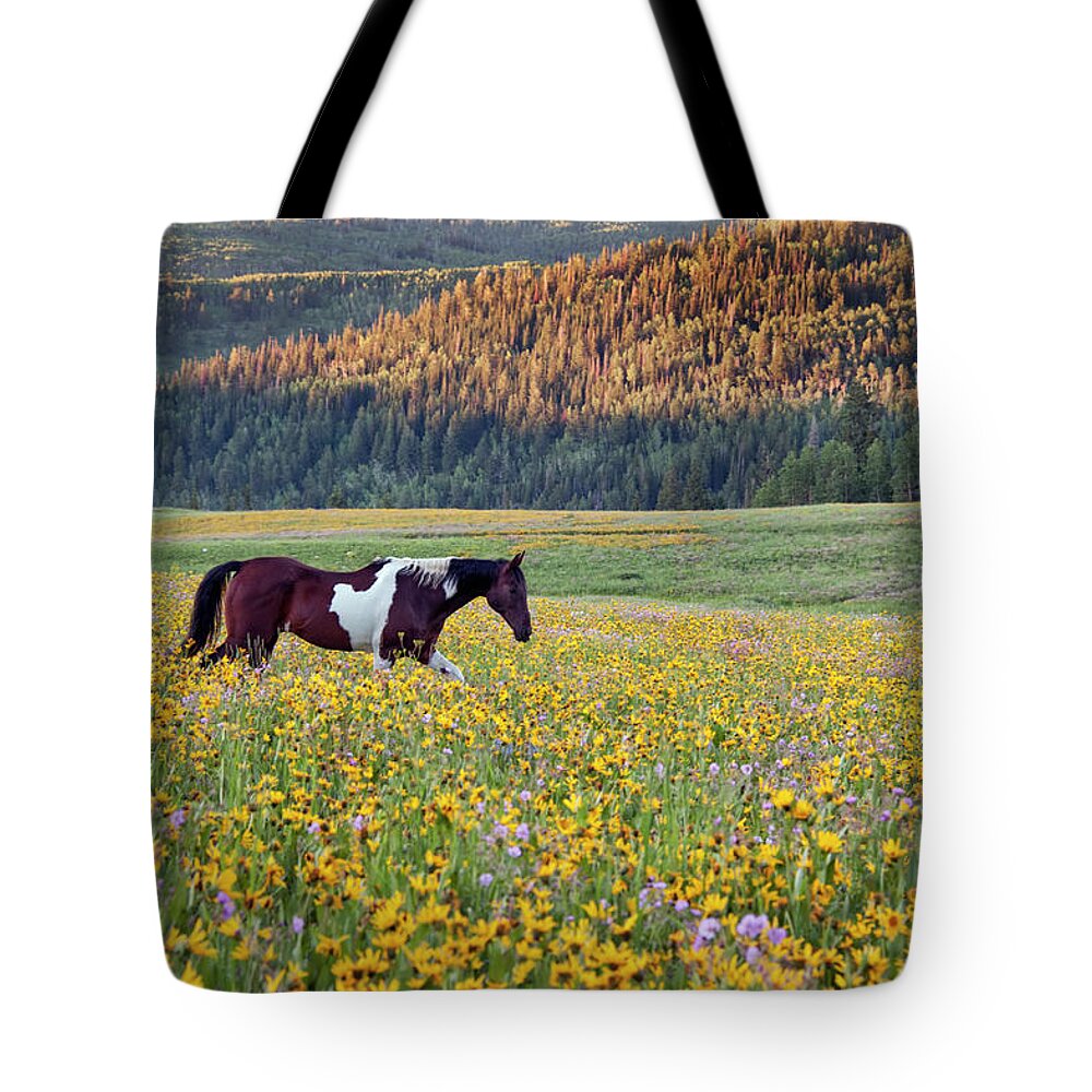 Horse Tote Bag featuring the photograph Horse In A Field Of Wildflowers. Uinta by Mint Images - David Schultz