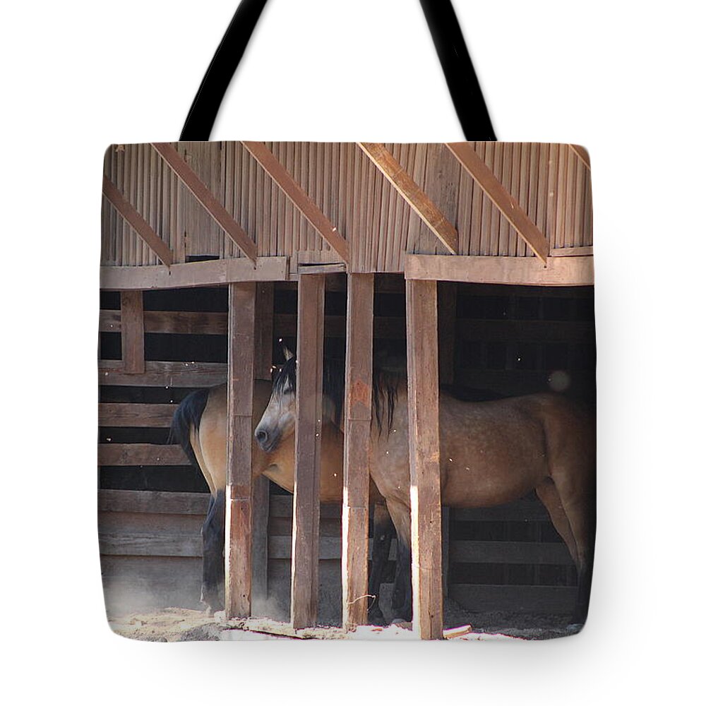 Horse Tote Bag featuring the photograph Horse in old Stable at Historic Fort Stanton New Mexico by Colleen Cornelius
